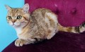 https://www.waibe.fr/sites/delphine59h/medias/images/__HIDDEN__galerie_15/IMG_20250612_154408.jpg