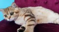 https://www.waibe.fr/sites/delphine59h/medias/images/__HIDDEN__galerie_15/IMG_20250612_154641.jpg