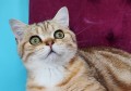 https://www.waibe.fr/sites/delphine59h/medias/images/__HIDDEN__galerie_15/IMG_20250612_154937.jpg