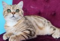 https://www.waibe.fr/sites/delphine59h/medias/images/__HIDDEN__galerie_15/IMG_20250612_155014.jpg