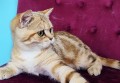 https://www.waibe.fr/sites/delphine59h/medias/images/__HIDDEN__galerie_15/IMG_20250612_155106.jpg