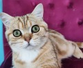 https://www.waibe.fr/sites/delphine59h/medias/images/__HIDDEN__galerie_15/IMG_20250612_155142.jpg