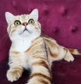 https://www.waibe.fr/sites/delphine59h/medias/images/__HIDDEN__galerie_15/IMG_20250612_155212.jpg