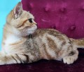 https://www.waibe.fr/sites/delphine59h/medias/images/__HIDDEN__galerie_15/IMG_20250612_155522.jpg