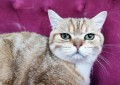 https://www.waibe.fr/sites/delphine59h/medias/images/__HIDDEN__galerie_15/IMG_20250612_155741.jpg