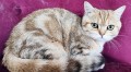 https://www.waibe.fr/sites/delphine59h/medias/images/__HIDDEN__galerie_15/IMG_20250612_155836.jpg