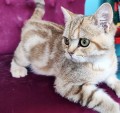 https://www.waibe.fr/sites/delphine59h/medias/images/__HIDDEN__galerie_15/IMG_20250612_160121.jpg