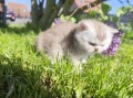 https://www.waibe.fr/sites/delphine59h/medias/images/__HIDDEN__galerie_16/IMG_20260424_162018.jpg