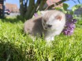 https://www.waibe.fr/sites/delphine59h/medias/images/__HIDDEN__galerie_16/IMG_20260424_162019.jpg