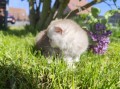 https://www.waibe.fr/sites/delphine59h/medias/images/__HIDDEN__galerie_16/IMG_20260424_162021.jpg
