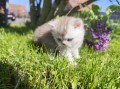 https://www.waibe.fr/sites/delphine59h/medias/images/__HIDDEN__galerie_16/IMG_20260424_162026.jpg