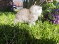 https://www.waibe.fr/sites/delphine59h/medias/images/__HIDDEN__galerie_16/IMG_20260424_162046.jpg