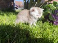 https://www.waibe.fr/sites/delphine59h/medias/images/__HIDDEN__galerie_16/IMG_20260424_162052.jpg