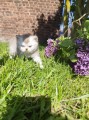 https://www.waibe.fr/sites/delphine59h/medias/images/__HIDDEN__galerie_16/IMG_20260424_162134.jpg