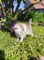 https://www.waibe.fr/sites/delphine59h/medias/images/__HIDDEN__galerie_16/IMG_20260424_162252.jpg