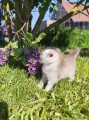 https://www.waibe.fr/sites/delphine59h/medias/images/__HIDDEN__galerie_16/IMG_20260424_162255.jpg