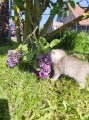 https://www.waibe.fr/sites/delphine59h/medias/images/__HIDDEN__galerie_16/IMG_20260424_162304.jpg
