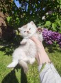 https://www.waibe.fr/sites/delphine59h/medias/images/__HIDDEN__galerie_16/IMG_20260424_162353.jpg