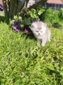 https://www.waibe.fr/sites/delphine59h/medias/images/__HIDDEN__galerie_16/IMG_20260424_162358.jpg