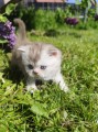 https://www.waibe.fr/sites/delphine59h/medias/images/__HIDDEN__galerie_16/IMG_20260424_162413.jpg