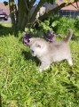 https://www.waibe.fr/sites/delphine59h/medias/images/__HIDDEN__galerie_16/IMG_20260424_162417.jpg