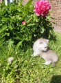 https://www.waibe.fr/sites/delphine59h/medias/images/__HIDDEN__galerie_16/IMG_20260424_162428.jpg