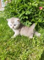 https://www.waibe.fr/sites/delphine59h/medias/images/__HIDDEN__galerie_16/IMG_20260424_162508.jpg