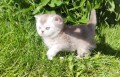 https://www.waibe.fr/sites/delphine59h/medias/images/__HIDDEN__galerie_16/IMG_20260424_181450.jpg