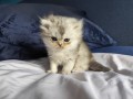 https://www.waibe.fr/sites/delphine59h/medias/images/__HIDDEN__galerie_16/IMG_20260908_140933.jpg