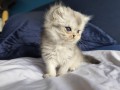 https://www.waibe.fr/sites/delphine59h/medias/images/__HIDDEN__galerie_16/IMG_20260908_140936.jpg