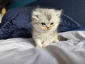 https://www.waibe.fr/sites/delphine59h/medias/images/__HIDDEN__galerie_16/IMG_20260908_140941.jpg