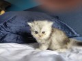 https://www.waibe.fr/sites/delphine59h/medias/images/__HIDDEN__galerie_16/IMG_20260908_140957.jpg