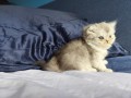 https://www.waibe.fr/sites/delphine59h/medias/images/__HIDDEN__galerie_16/IMG_20260908_141041.jpg