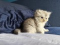 https://www.waibe.fr/sites/delphine59h/medias/images/__HIDDEN__galerie_16/IMG_20260908_141047.jpg