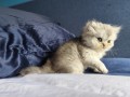https://www.waibe.fr/sites/delphine59h/medias/images/__HIDDEN__galerie_16/IMG_20260908_141052.jpg