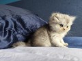 https://www.waibe.fr/sites/delphine59h/medias/images/__HIDDEN__galerie_16/IMG_20260908_141053.jpg