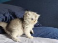 https://www.waibe.fr/sites/delphine59h/medias/images/__HIDDEN__galerie_16/IMG_20260908_141229.jpg