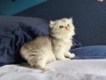 https://www.waibe.fr/sites/delphine59h/medias/images/__HIDDEN__galerie_16/IMG_20260908_141233.jpg