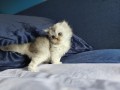 https://www.waibe.fr/sites/delphine59h/medias/images/__HIDDEN__galerie_16/IMG_20260908_141234.jpg