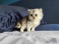 https://www.waibe.fr/sites/delphine59h/medias/images/__HIDDEN__galerie_16/IMG_20260908_141236.jpg