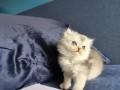 https://www.waibe.fr/sites/delphine59h/medias/images/__HIDDEN__galerie_16/IMG_20260908_141251.jpg