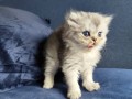 https://www.waibe.fr/sites/delphine59h/medias/images/__HIDDEN__galerie_16/IMG_20260908_141255.jpg