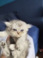 https://www.waibe.fr/sites/delphine59h/medias/images/__HIDDEN__galerie_16/IMG_20260908_141330.jpg