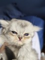 https://www.waibe.fr/sites/delphine59h/medias/images/__HIDDEN__galerie_16/IMG_20260908_141335.jpg