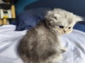 https://www.waibe.fr/sites/delphine59h/medias/images/__HIDDEN__galerie_16/IMG_20260908_141410.jpg