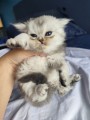 https://www.waibe.fr/sites/delphine59h/medias/images/__HIDDEN__galerie_16/IMG_20260908_141434.jpg