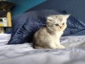 https://www.waibe.fr/sites/delphine59h/medias/images/__HIDDEN__galerie_16/IMG_20260908_141515.jpg