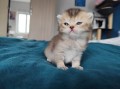 https://www.waibe.fr/sites/delphine59h/medias/images/__HIDDEN__galerie_19/IMG_20250422_143731.jpg