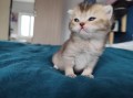 https://www.waibe.fr/sites/delphine59h/medias/images/__HIDDEN__galerie_19/IMG_20250422_143736.jpg