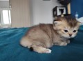 https://www.waibe.fr/sites/delphine59h/medias/images/__HIDDEN__galerie_19/IMG_20250422_144000.jpg